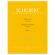 Schubert: Sonata for Piano in C minor D 958